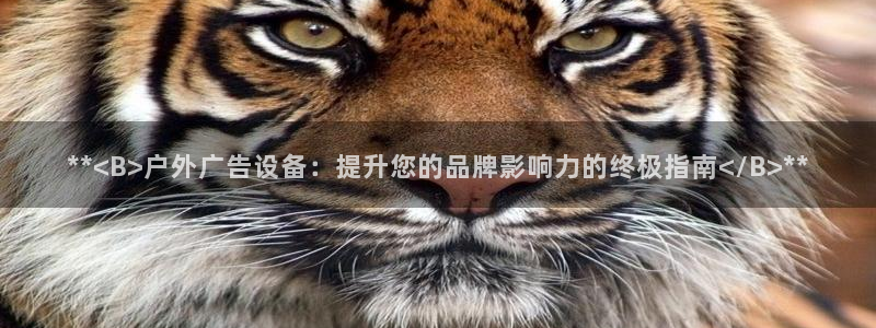 杏宇平台注册地址在哪里：**<B>户外广告设备：提升您的品牌影响力的终极指南</B>**