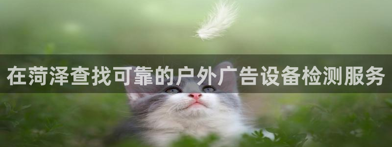 杏宇平台代理多少钱一个月：在菏泽查找可靠的户外广告设备检测服务