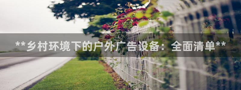 杏宇平台好吗：**乡村环境下的户外广告设备：全面清单**