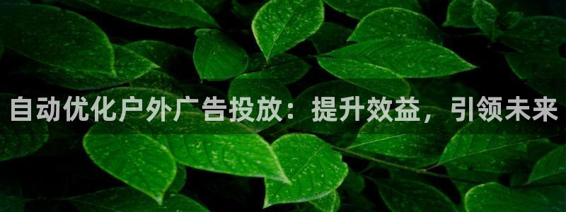 杏宇平台代理怎么赚钱：自动优化户外广告投放：提升效益，引领未来