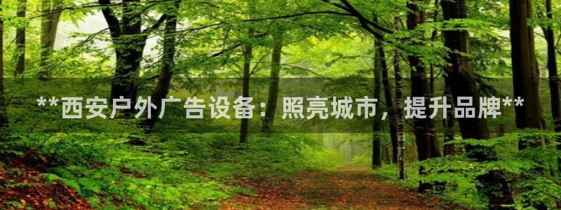 杏宇平台登录步骤：**西安户外广告设备：照亮城市，提升品牌**