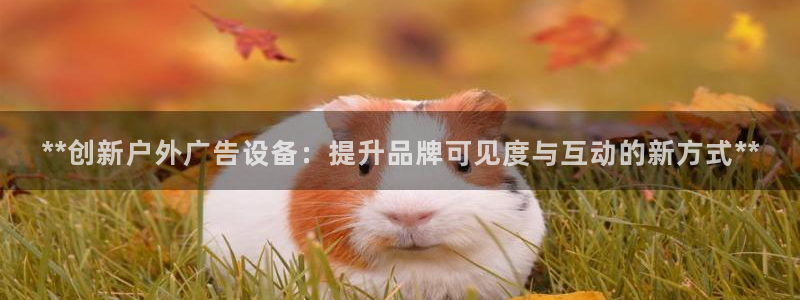 杏宇平台代理多少钱一次：**创新户外广告设备：提升品牌可见度与互动的新方式**