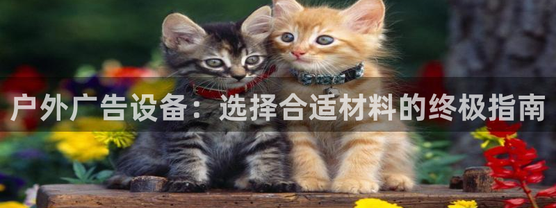 杏宇平台代理多少钱一次