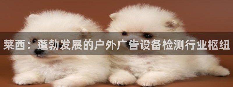 杏宇平台总代理是谁：莱西：蓬勃发展的户外广告设备检测行业枢纽