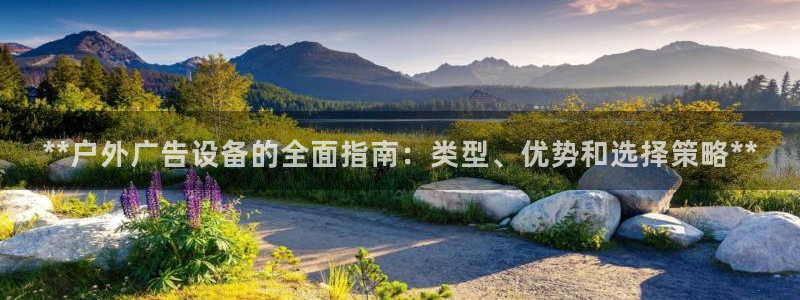 杏宇平台怎么样：**户外广告设备的全面指南：类型、优势和选择策略**