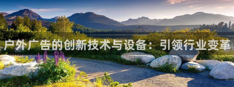 杏宇平台代理多少钱一个