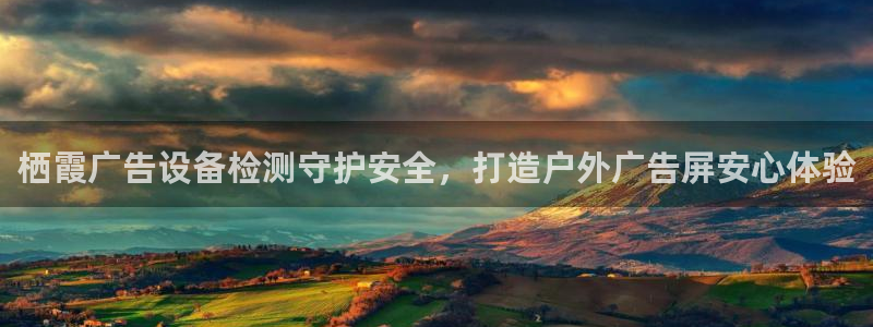 杏宇官方平台官网