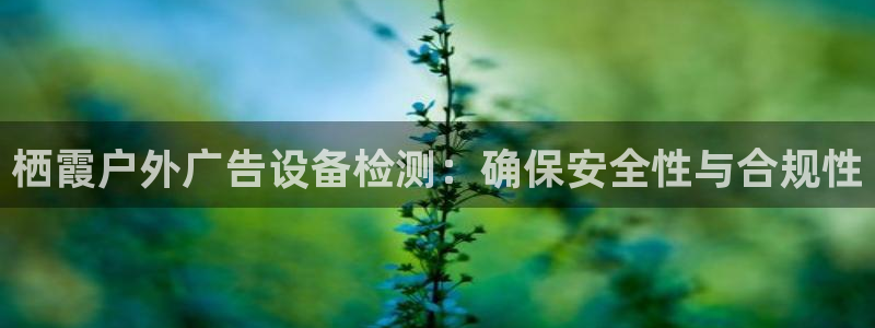 杏宇平台怎么样知乎：栖霞户外广告设备检测：确保安全性与合规性