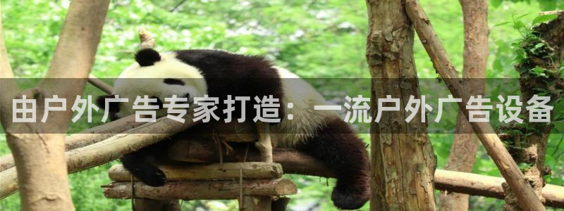 杏宇平台总代理电话