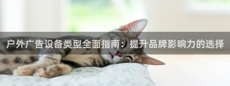 杏宇平台怎么样知乎：户外广告设备类型全面指南：提升品牌影响力的选择