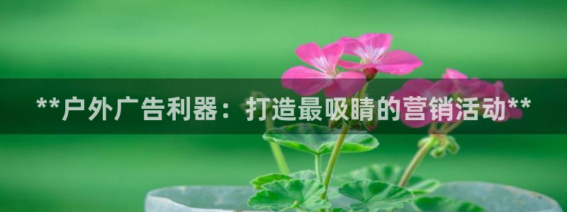 杏宇平台登录步骤图