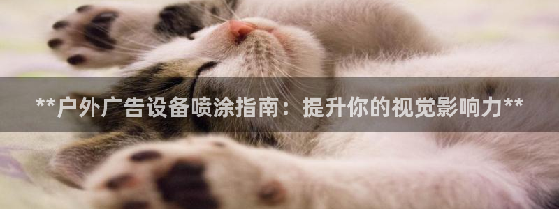 杏宇平台登陆