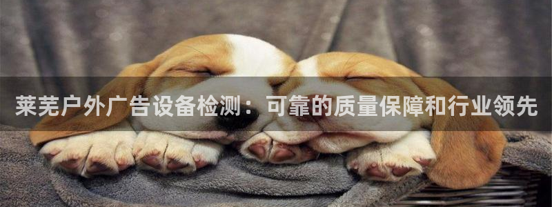 杏宇平台注册地址在哪里：莱芜户外广告设备检测：可靠的质量保障和行业领先