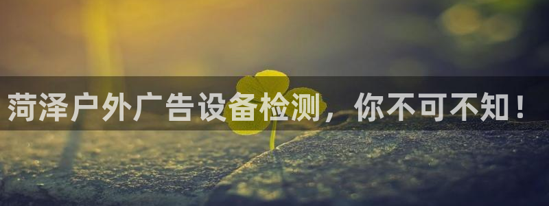 杏宇平台注册登录