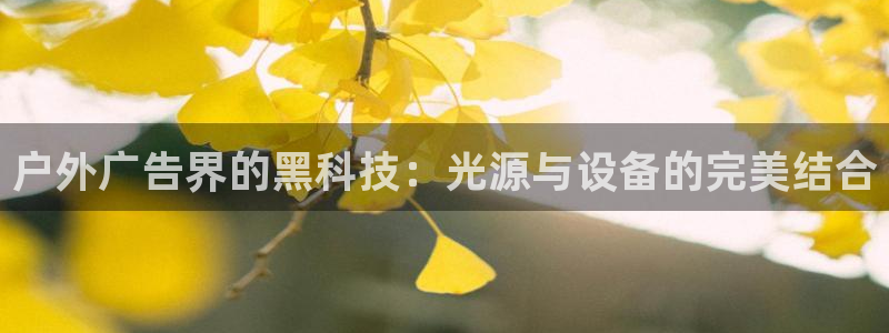 杏宇平台代理怎么赚钱快