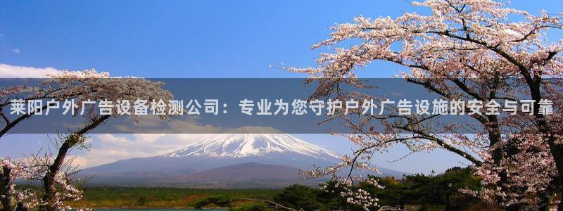 杏宇平台主管：莱阳户外广告设备检测公司：专业为您守护户外广告设施的安全与可靠