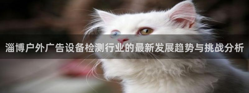 杏宇平台是什么：淄博户外广告设备检测行业的最新发展趋势与挑战分析