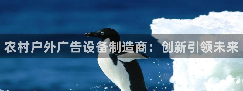 杏宇平台代理多少钱一个：农村户外广告设备制造商：创新引领未来