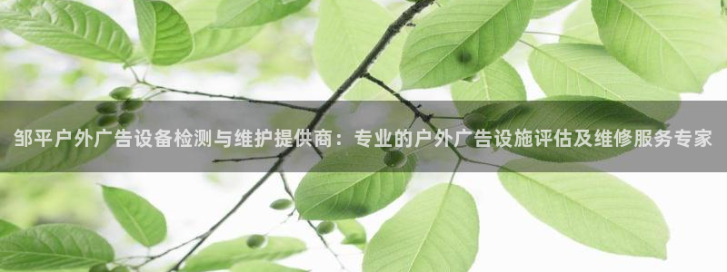 杏宇平台代理怎么样可靠吗：邹平户外广告设备检测与维护提供商：专业的户外广告设施评估及维修服务专家