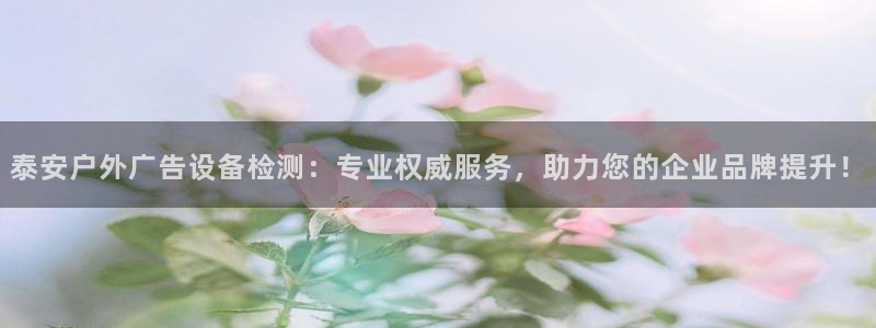 杏宇官方平台官网下载：泰安户外广告设备检测：专业权威服务，助力您的企业品牌提升！