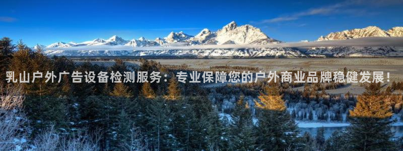 杏宇平台登录步骤图：乳山户外广告设备检测服务：专业保障您的户外商业品牌稳健发展！