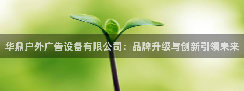 杏宇平台招商：华鼎户外广告设备有限公司：品牌升级与创新引领未来