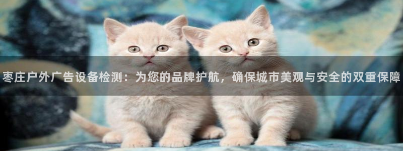杏宇平台提现为什么这么久呢：枣庄户外广告设备检测：为您的品牌护航，确保城市美观与安全的双重保障