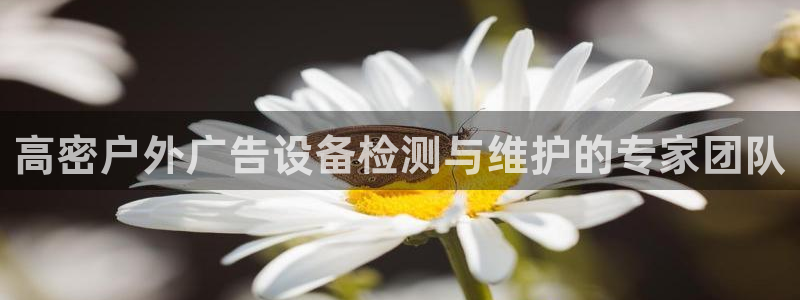 杏宇平台代理怎么赚钱：高密户外广告设备检测与维护的专家团队