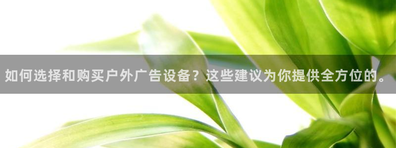 杏宇平台是什么：如何选择和购买户外广告设