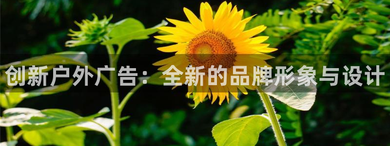 杏宇官方平台官网：创新户外广告：全新的品
