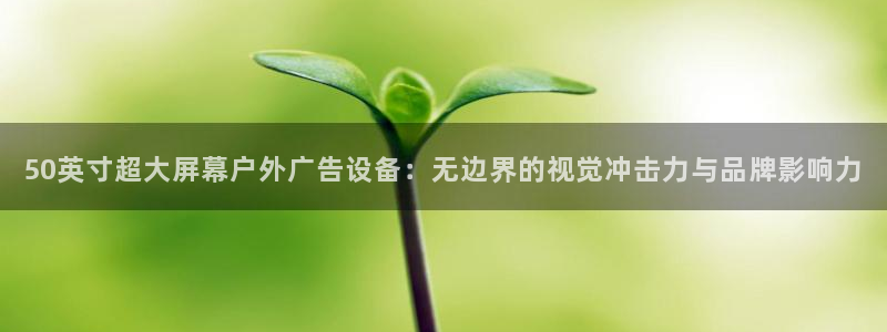 杏宇平台怎么样知乎：50英寸超大屏幕户外