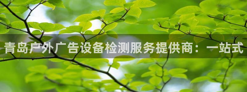 杏宇平台登录方法：青岛户外广告设备检测服