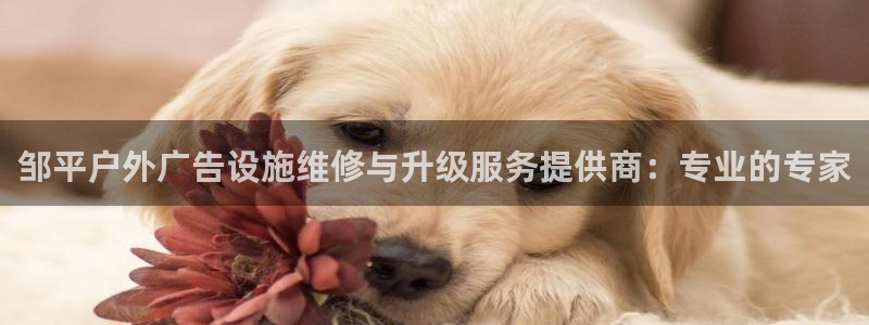 杏宇平台招商：邹平户外广告设施维修与升级服务提供商：专业的专家