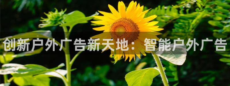 杏宇平台登陆：创新户外广告新天地：智能户外广告