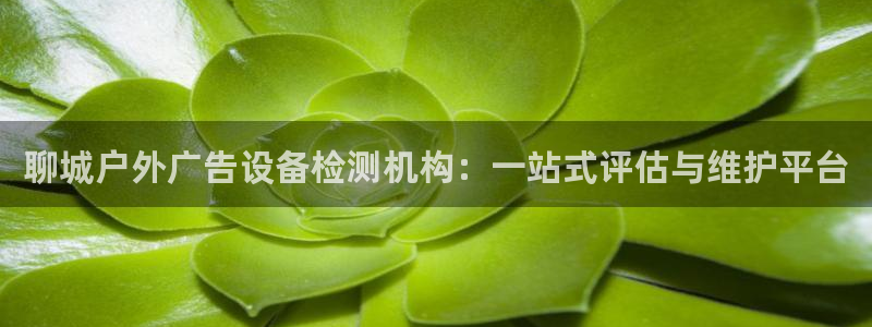 杏宇平台客服：聊城户外广告设备检测机构：一站式评估与维护平台