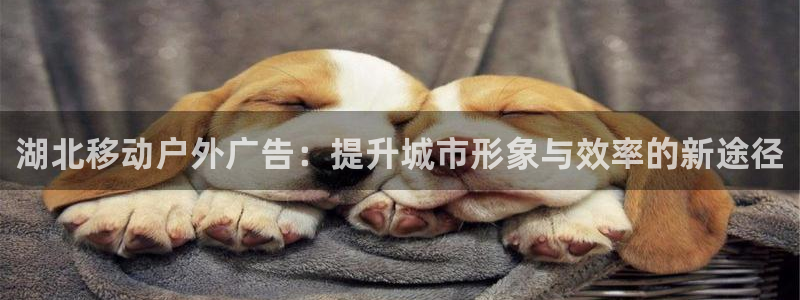 杏宇平台怎么样知乎：湖北移动户外广告：提升城市形象与效率的新途径