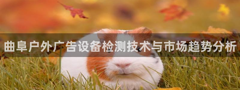 杏宇平台总代理电话：曲阜户外广告设备检测技术与市场趋势分析
