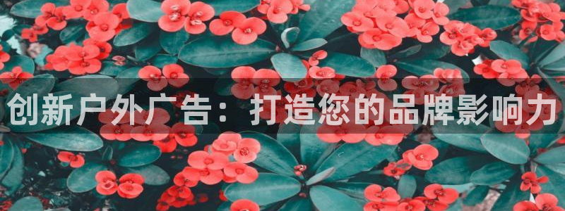 杏宇平台代理多少钱一个：创新户外广告：打