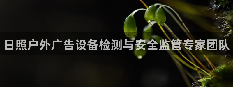 杏宇平台代理：日照户外广告设备检测与安全监管专家团队