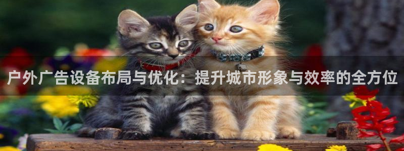 杏宇平台代理怎么样赚钱：户外广告设备布局