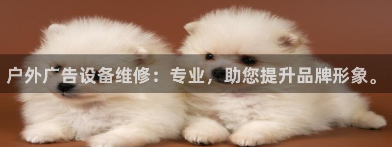 杏宇平台招商电话号码：户外广告设备维修：专业，助您提升品牌形象。
