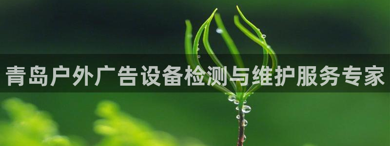 杏宇平台登录步骤：青岛户外广告设备检测与