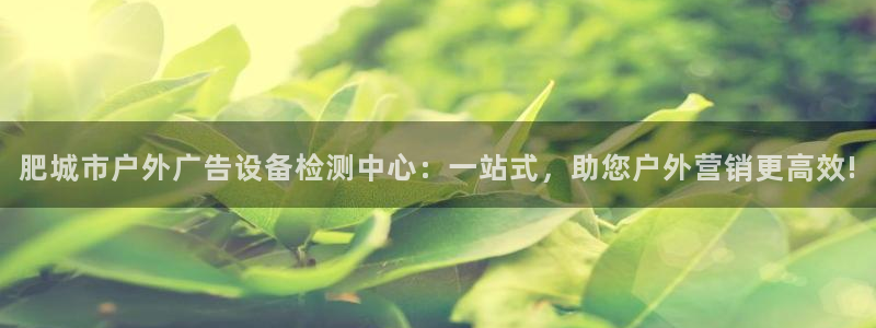 杏宇平台招商：肥城市户外广告设备检测中心