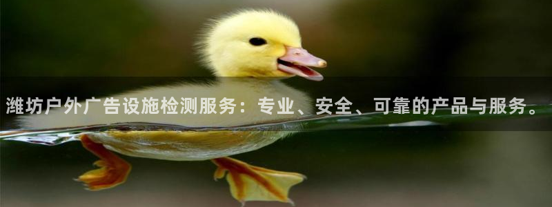 杏宇平台注册地址：潍坊户外广告设施检测服务：专业、安全、可靠的产品与服务。