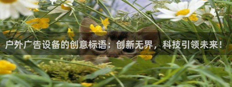 杏宇平台代理怎么赚钱的：户外广告设备的创意标语：创新无界，科技引领未来！
