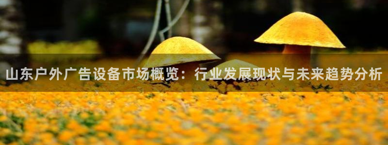 杏宇平台注册地址：山东户外广告设备市场概