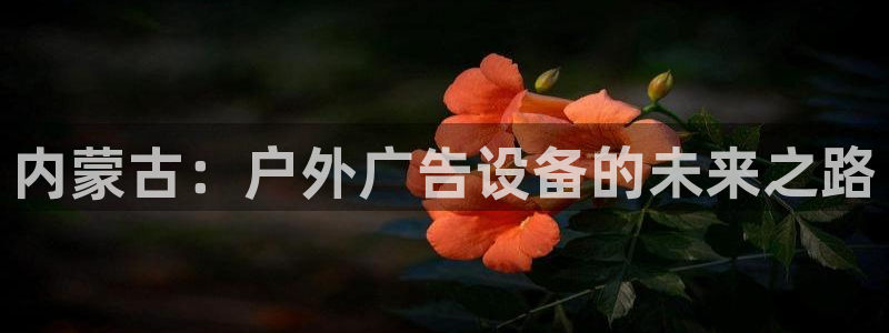 杏宇官方平台官网：内蒙古：户外广告设备的未来之路