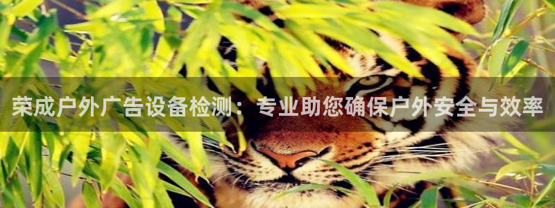 杏宇平台测速链接：荣成户外广告设备检测：专业助您确保户外安全与效率