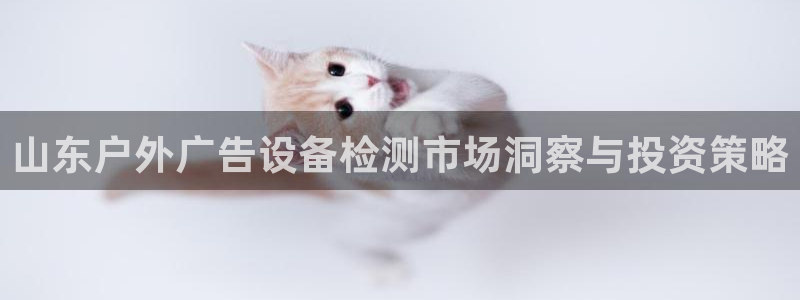 杏宇官方平台官网：山东户外广告设备检测市