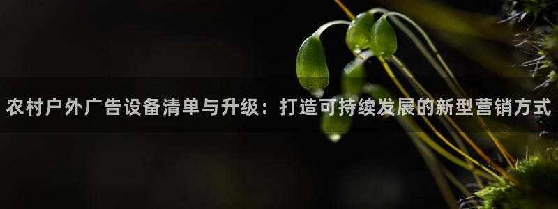 杏宇平台代理怎么赚钱的：农村户外广告设备